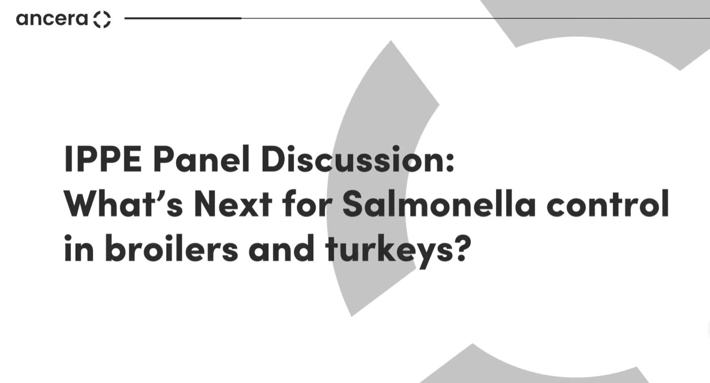 What's Next for Salmonella Control webinar